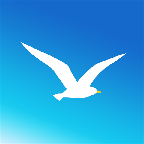 海鸥app官网
